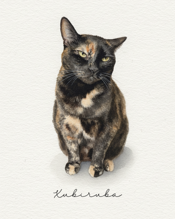 Quadro - Aquarela do Meu Pet