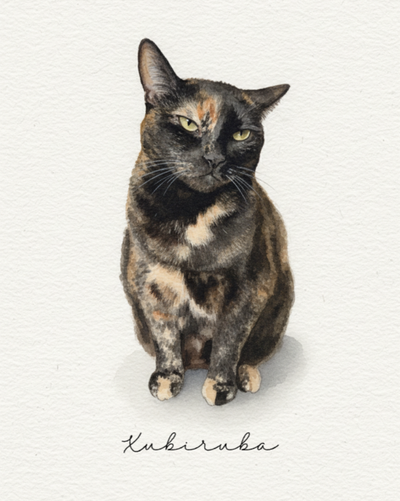 Quadro - Aquarela do Meu Pet