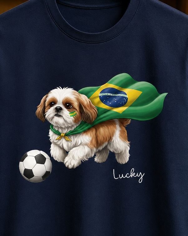 Meu é PET é Brasil