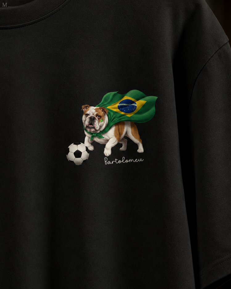 Meu é PET é Brasil