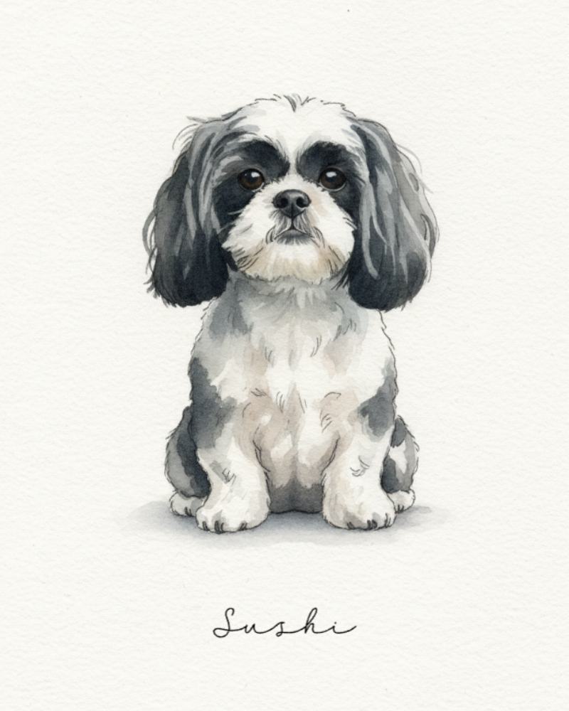 Quadro - Aquarela do Meu Pet