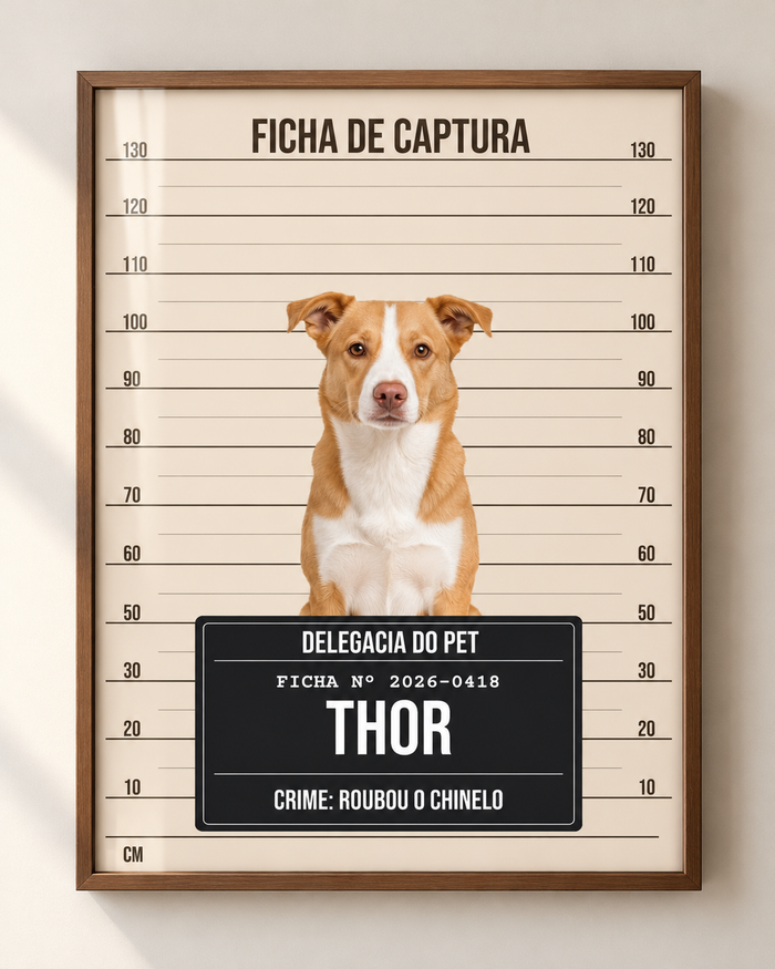 Quadro Ficha Policial do Pet personalizado com moldura filete – mockup 1 | Aphago