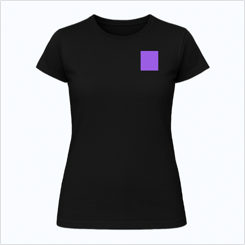 Meu Crush FRENTE E COSTAS BL (YD)